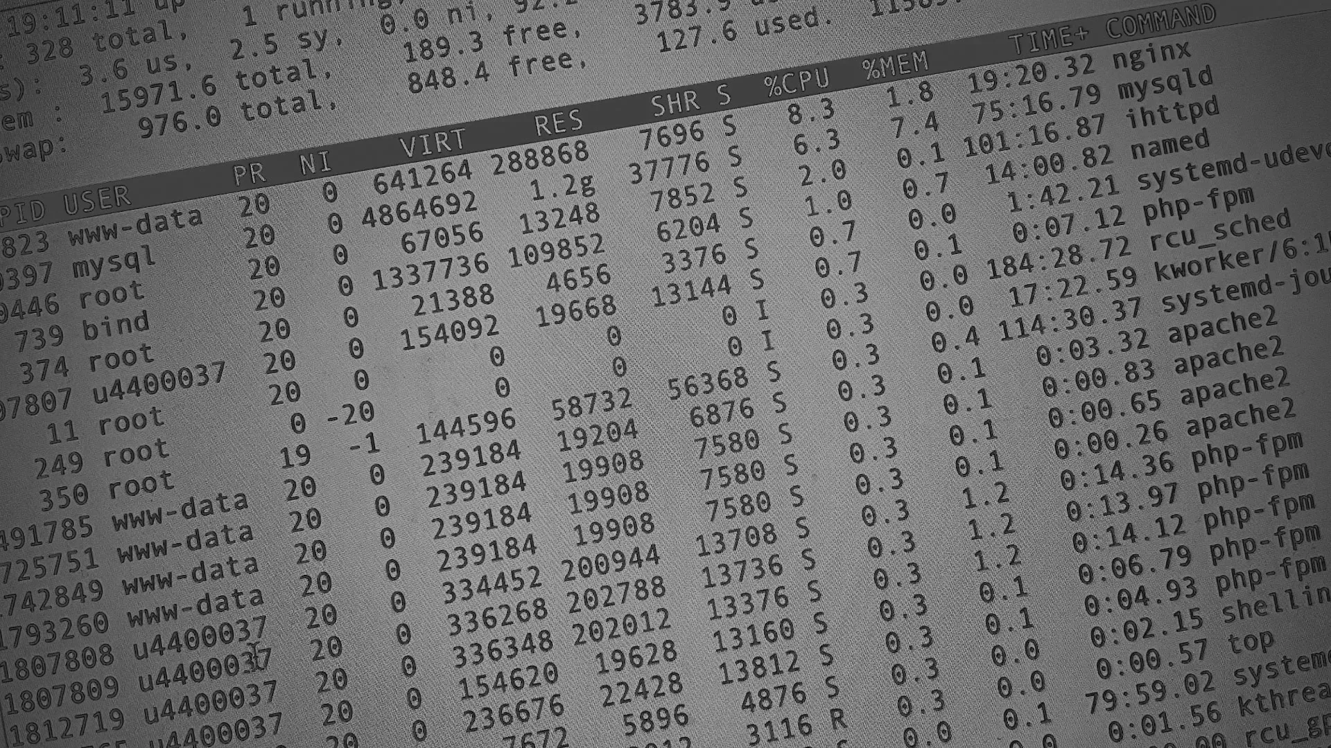 Настройка сервера в Гаджиево