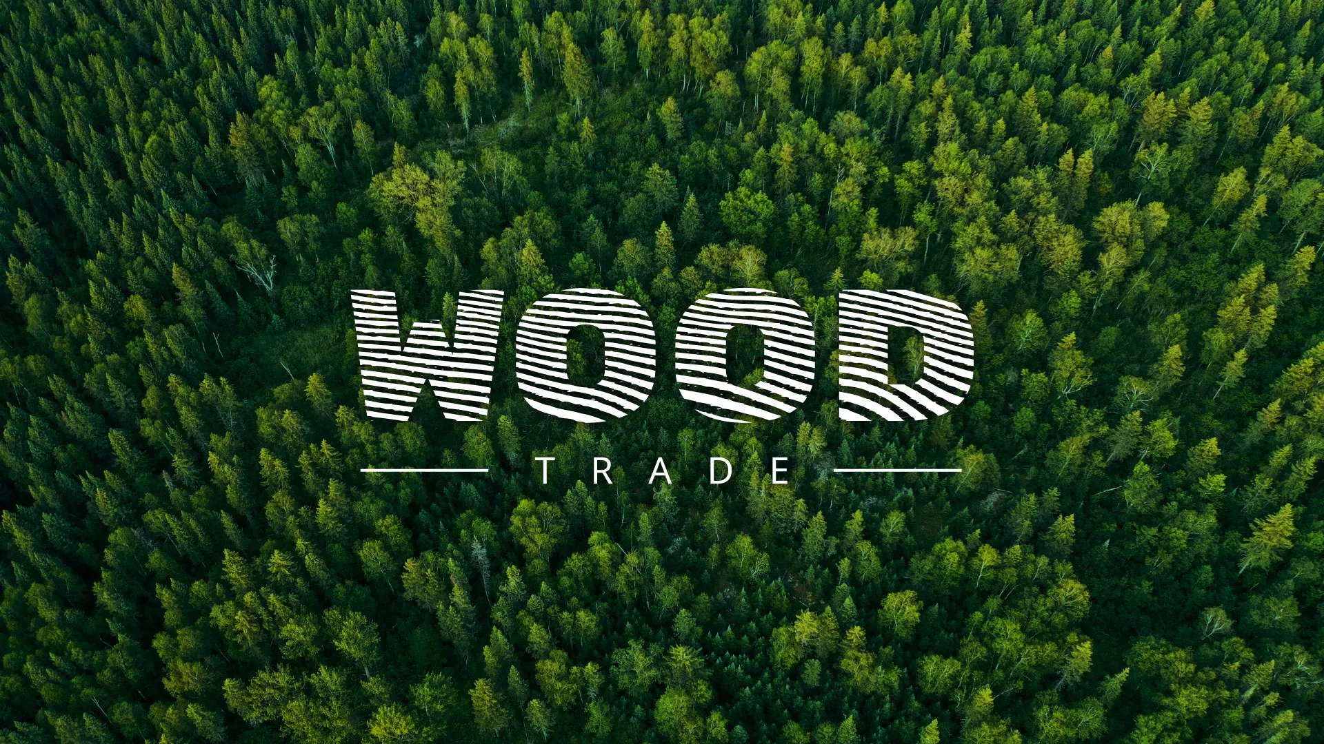 Разработка интернет-магазина компании «Wood Trade» в Гаджиево