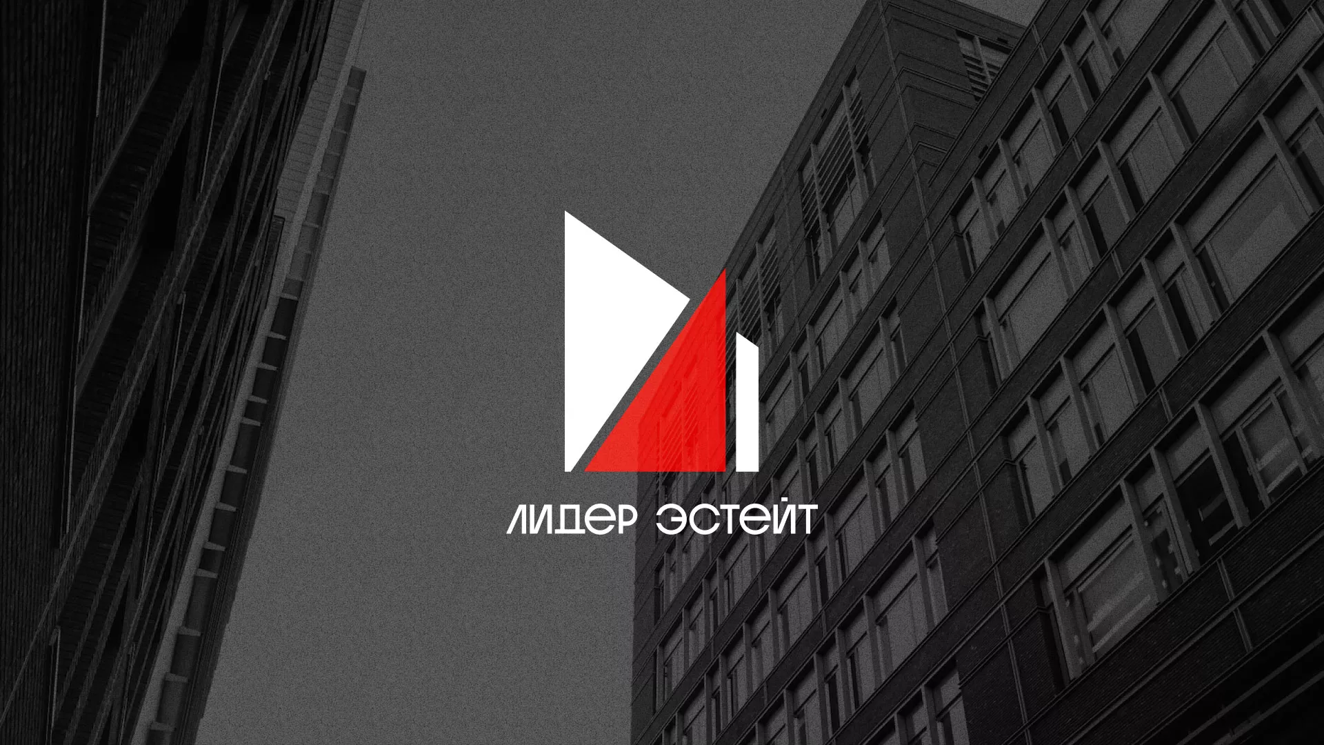 Сделали логотип для агентства недвижимости «Лидер Эстейт» в Гаджиево